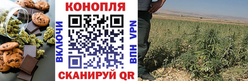 Cannafood конопля  где продают наркотики  Кольчугино 