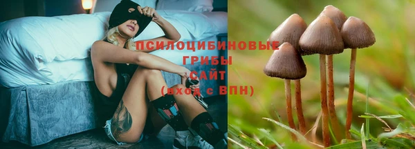 PSILOCYBIN Алексин