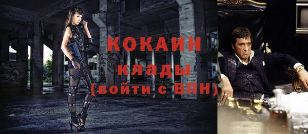 молекула духа Алзамай