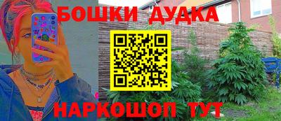 прущие грибы Комсомольск-на-Амуре