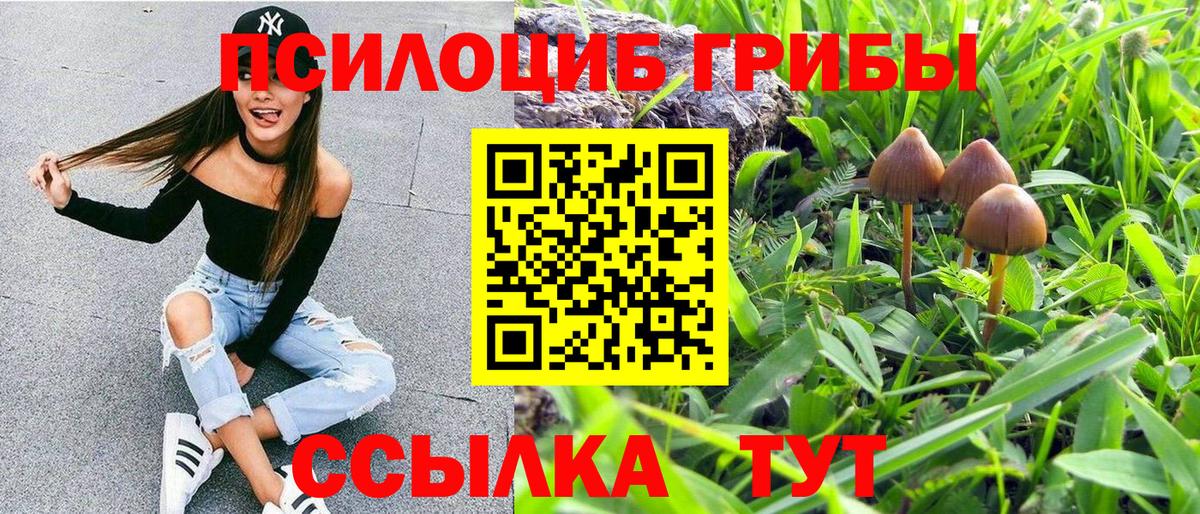 Кольчугино  Галлюциногенные грибы мицелий  где можно купить   Вход с VPN 