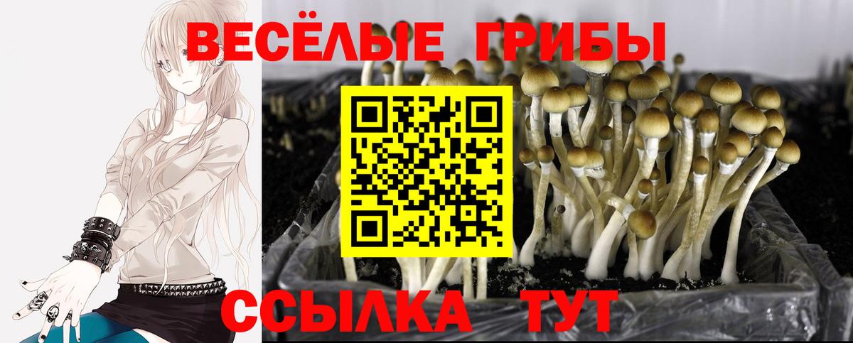 Амфетамин Кольчугино